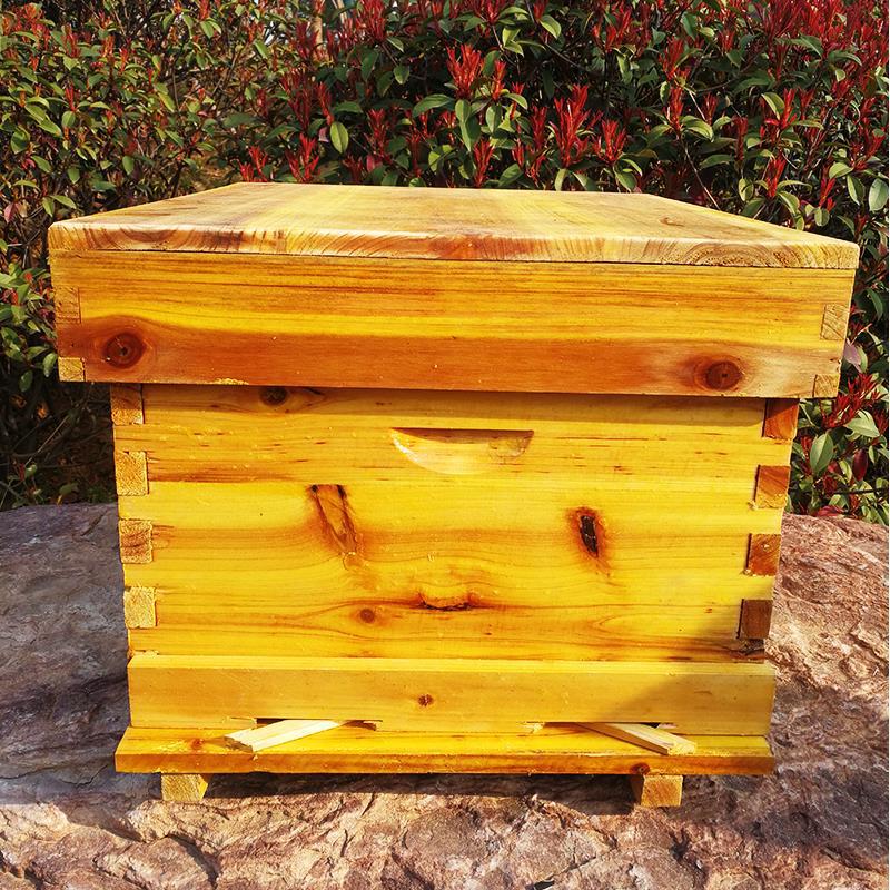 Komplet narzędzi pszczelarskic – Beehive Frame Wax recenzja i cena