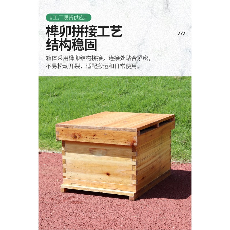 Drewniany ul z drewna jodłoweg – Beehive Frame Wax recenzja i cena